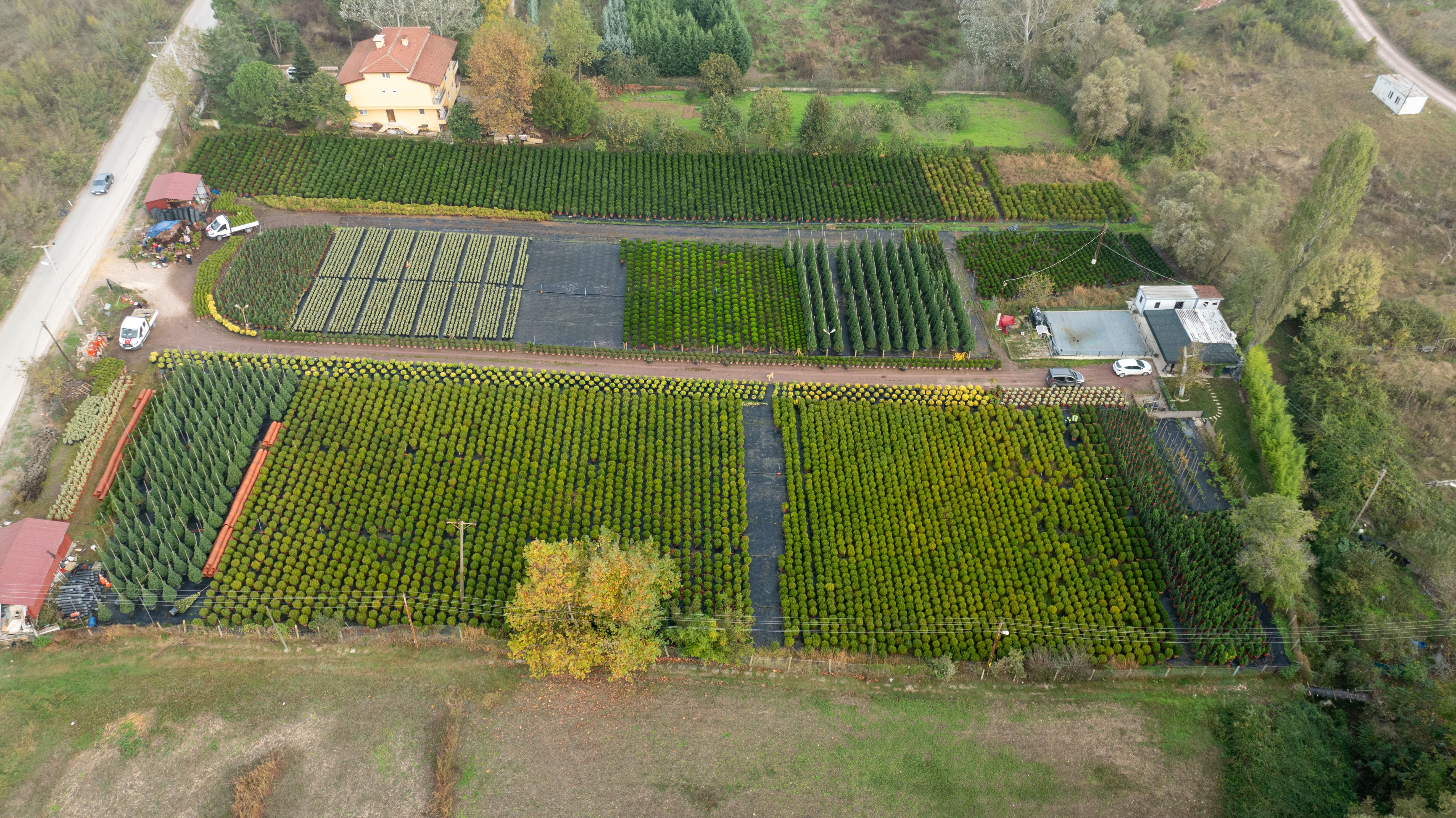 Aerial shot of structured fields and farmhouses in rural Yalova, Türkiye.