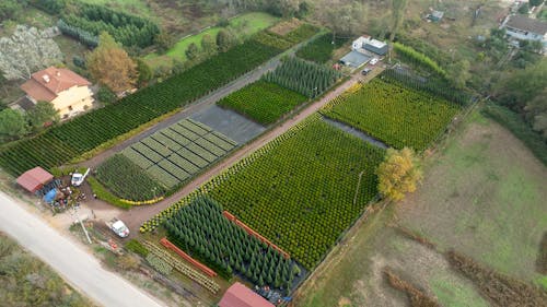 Fotos de stock gratuitas de arboles, campo, césped