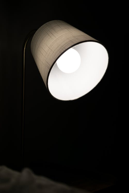 Black and White Photo of an Electric Lamp 