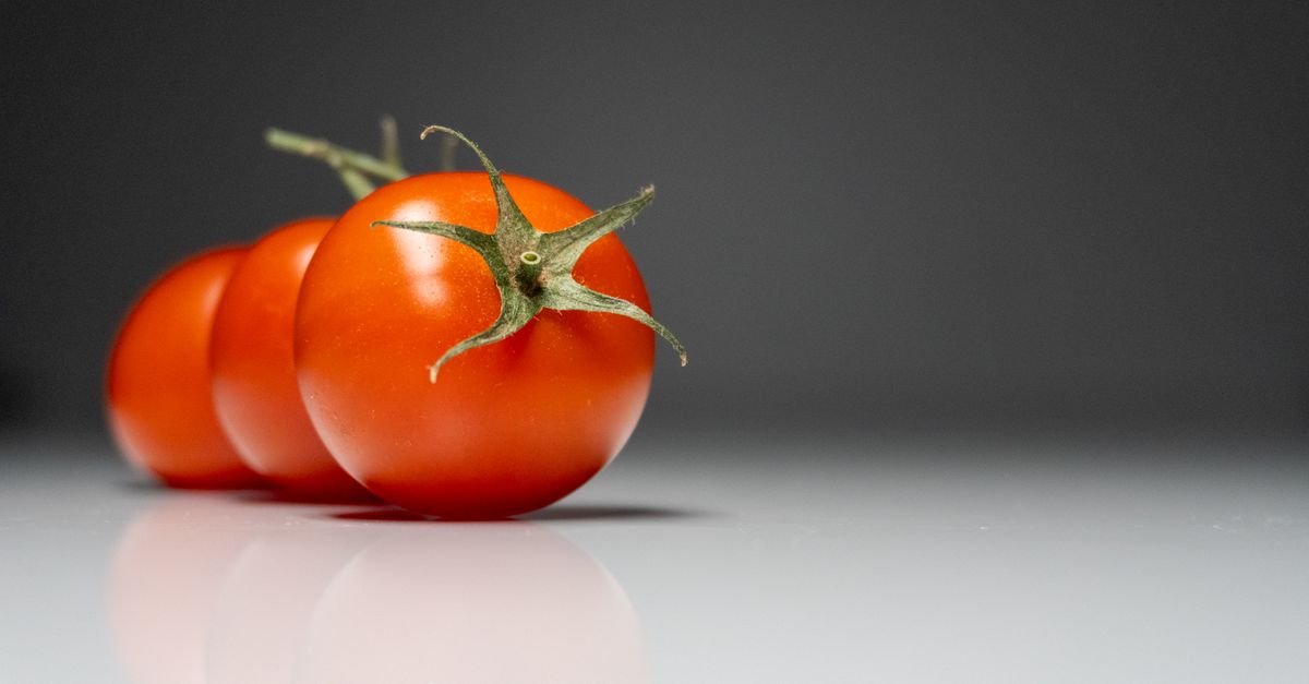 Tomates Farcies : Recette Facile et Astuces 2026