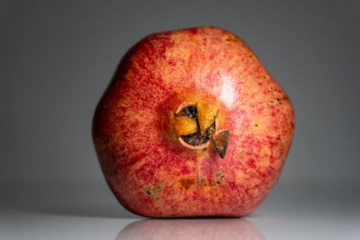 Pomegranate (Rodi)