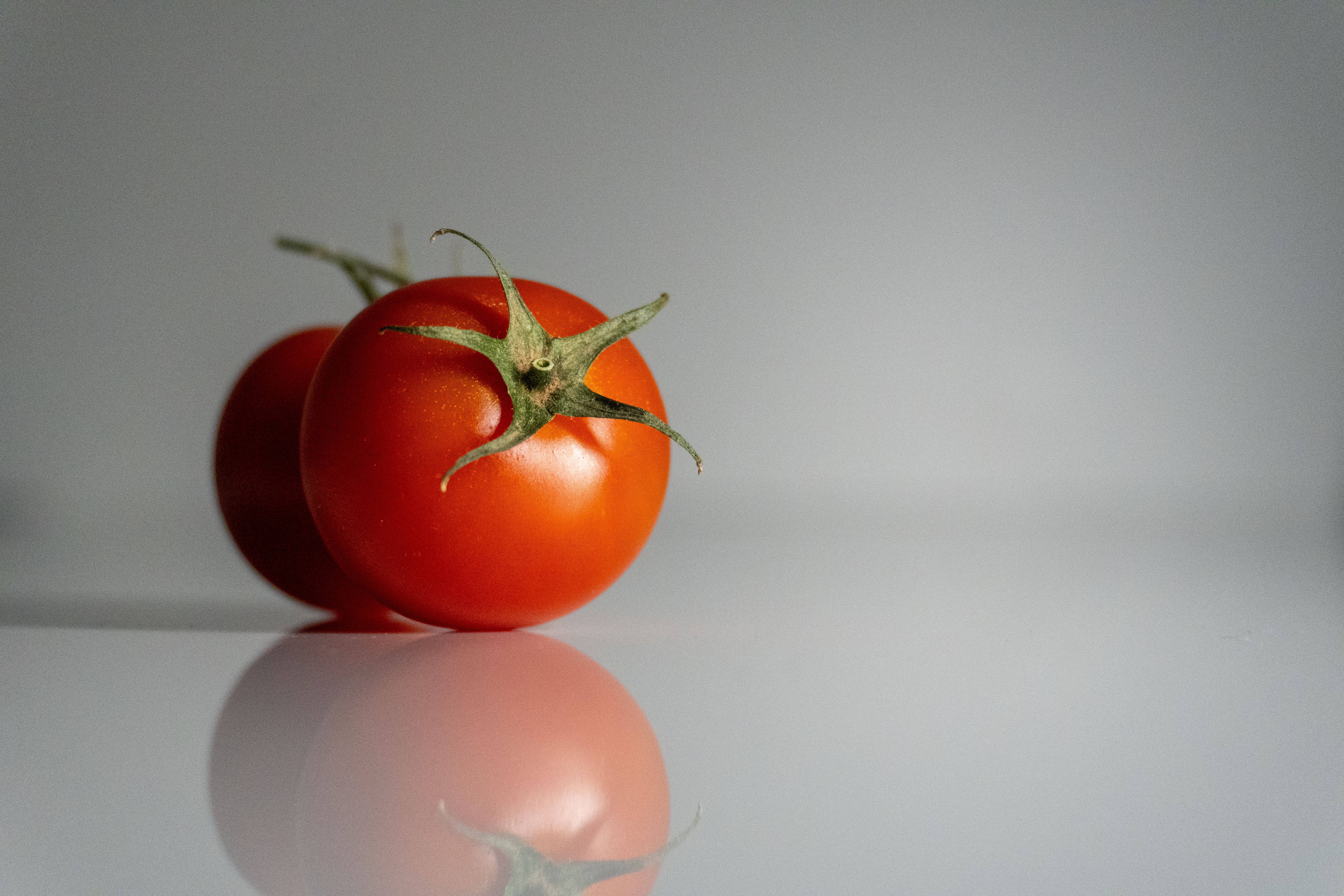 Rotten Tomatoes: Movies | TV Shows | Movie Trailers | Reviews — Photo by Ivan Vi on Pexels