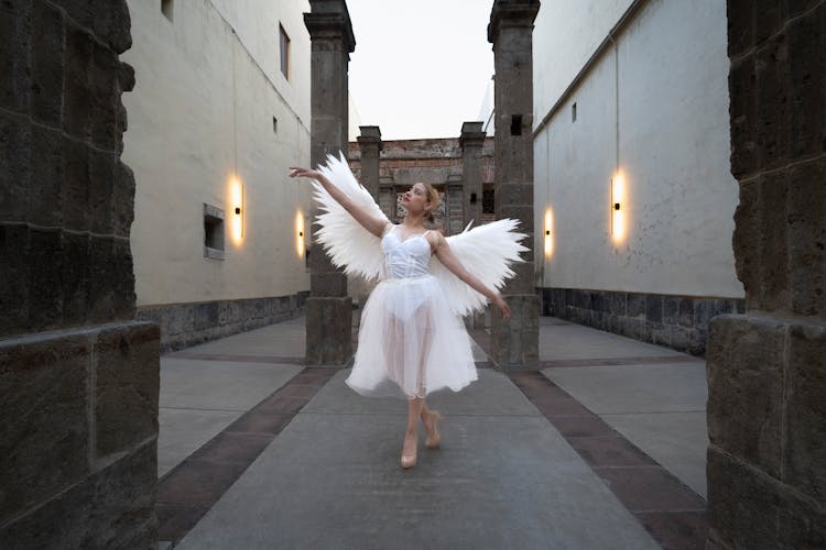 Woman In Dress With Wings