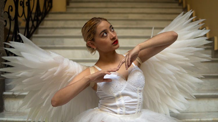 Woman In Dress With Wings