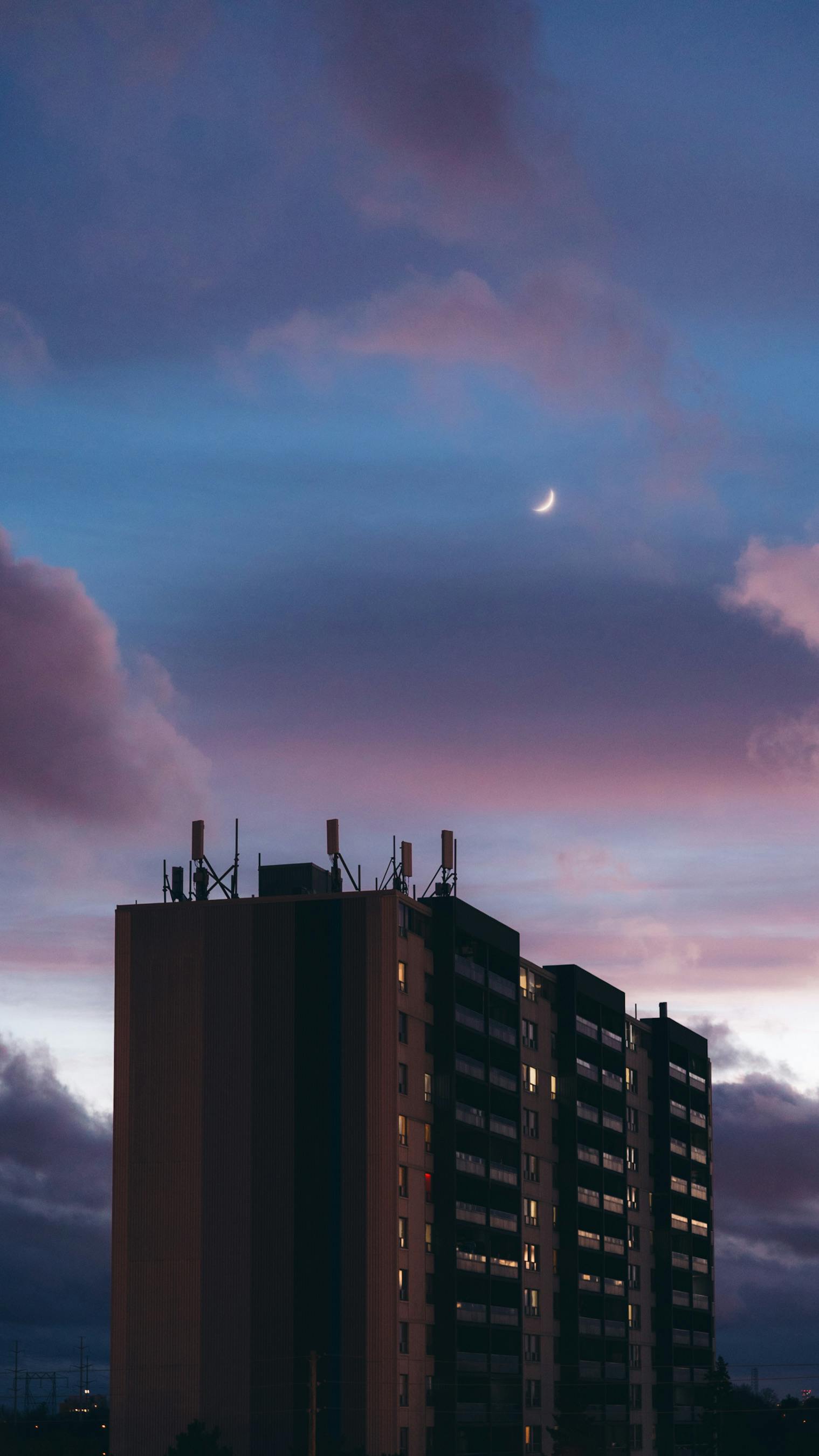 Mohammed Abubakr Photography