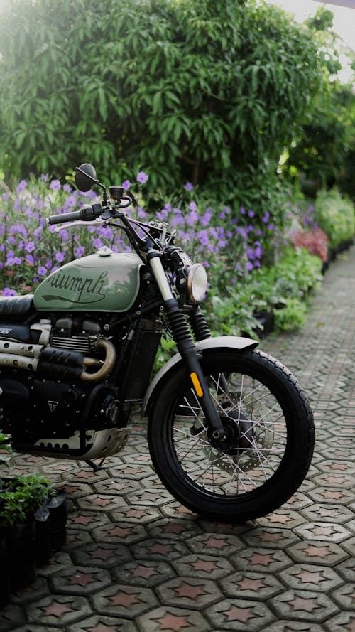 Triumph Motorbike in Garden