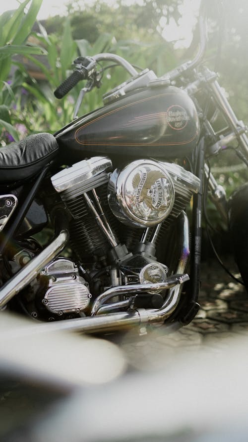 Základová fotografie zdarma na téma černá, harley davidson, motocykl