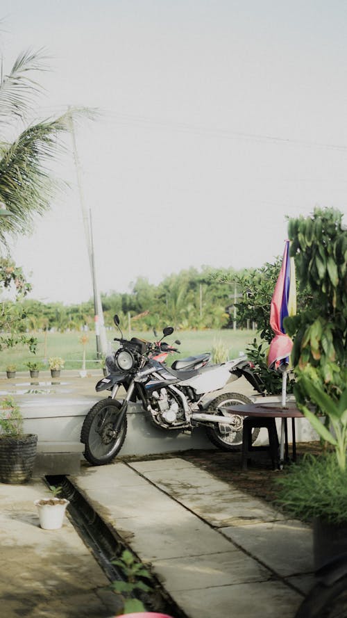 Motorcycle in Garden