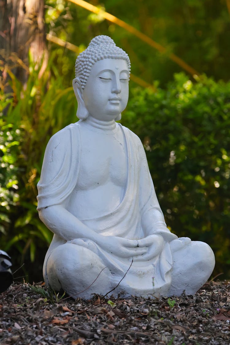 White Buddha Statue On Ground