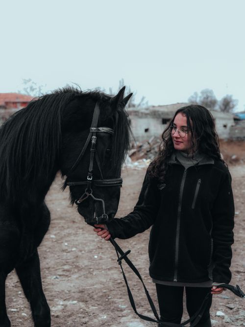 Free A woman in a black jacket interacts with a black horse in a rural area. Stock Photo