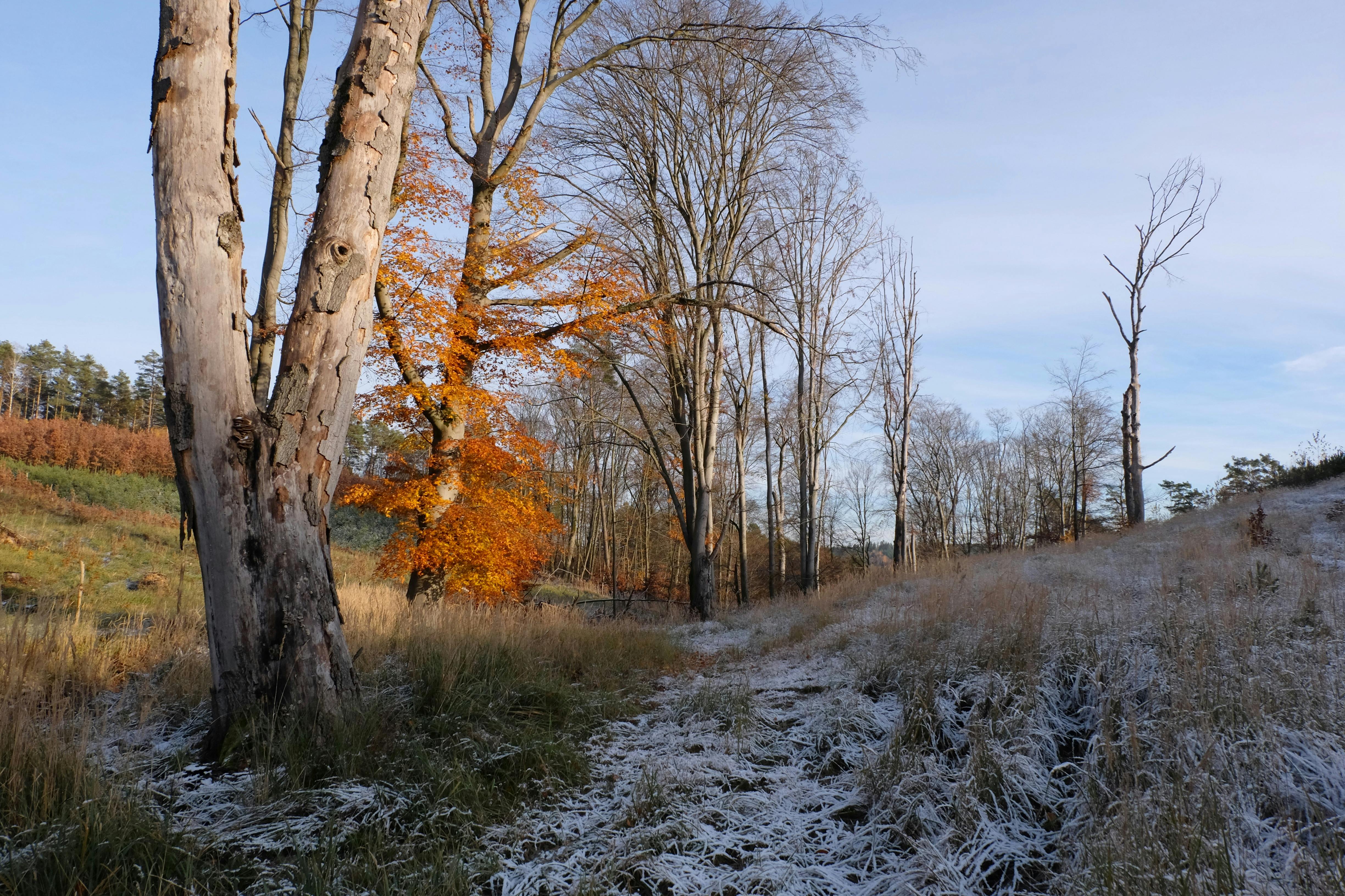 muslumanlar-denser-photos-download-the-best-free-muslumanlar-denser