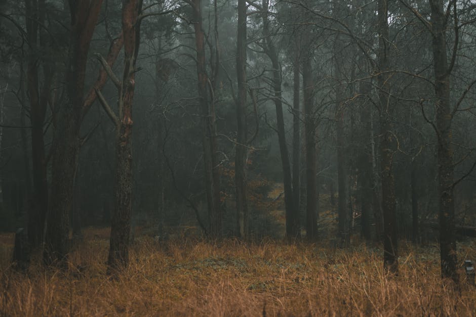 The Extraordinary Tales of Woodland Folklore and Mythology