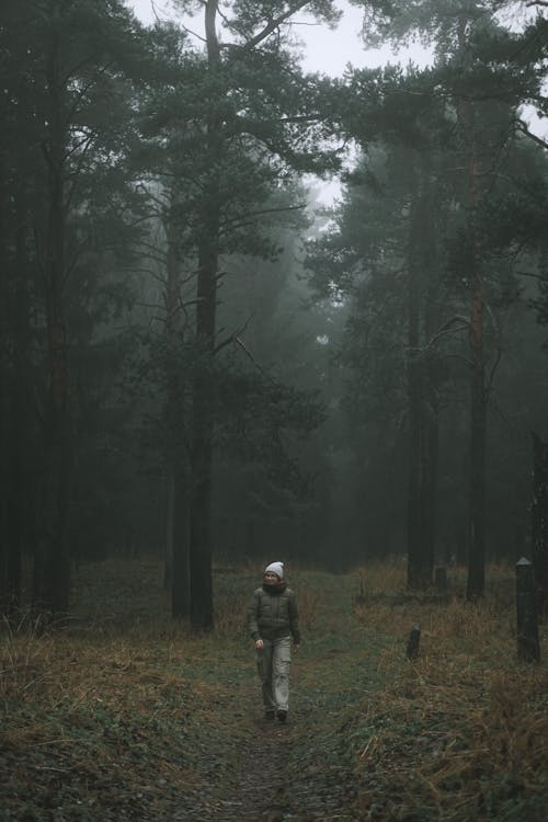 Woman Walking in Forest under Fog