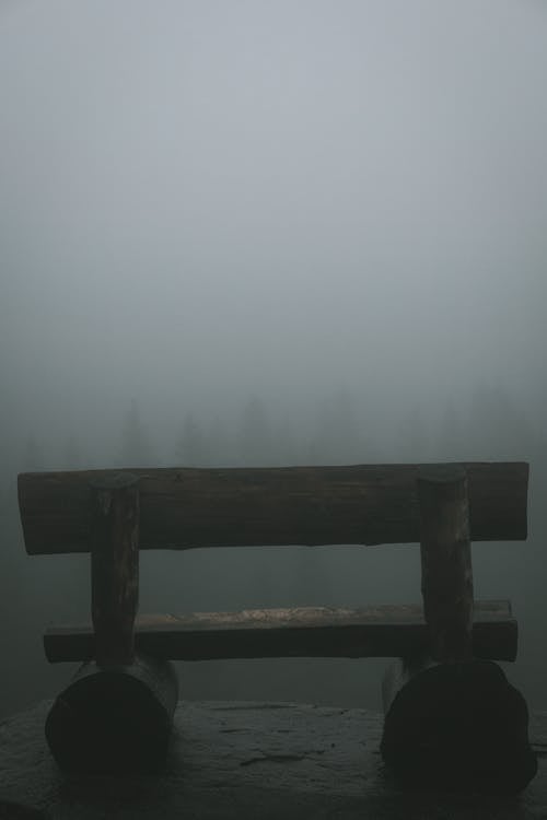 View of a Bench