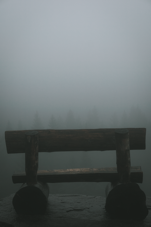 Free A wooden bench sits alone in a foggy forest, creating a serene and mysterious atmosphere. Stock Photo