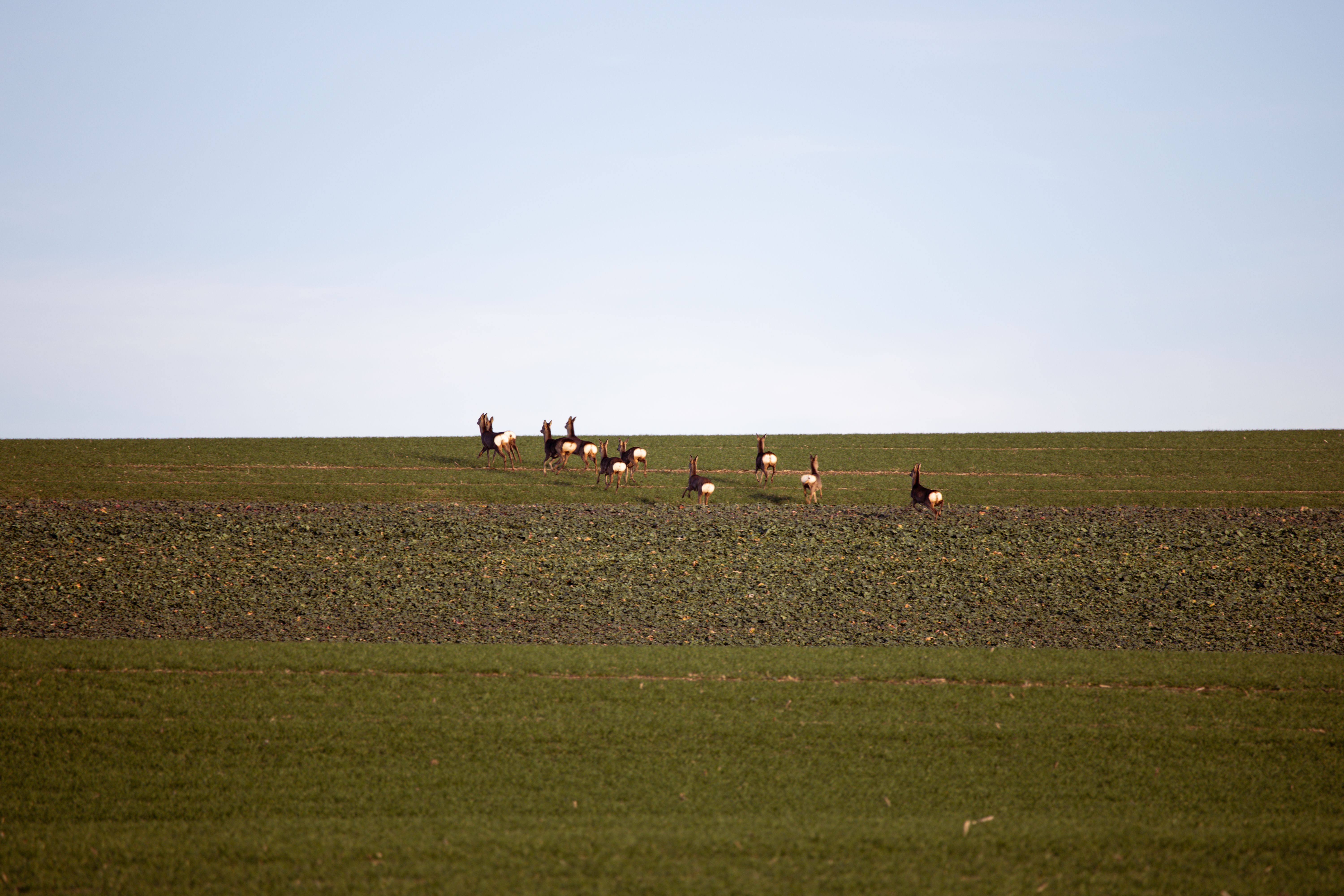 All-Canada Show promotes hunting, fishing and outdoor adventure — Photo by Patrick on Pexels