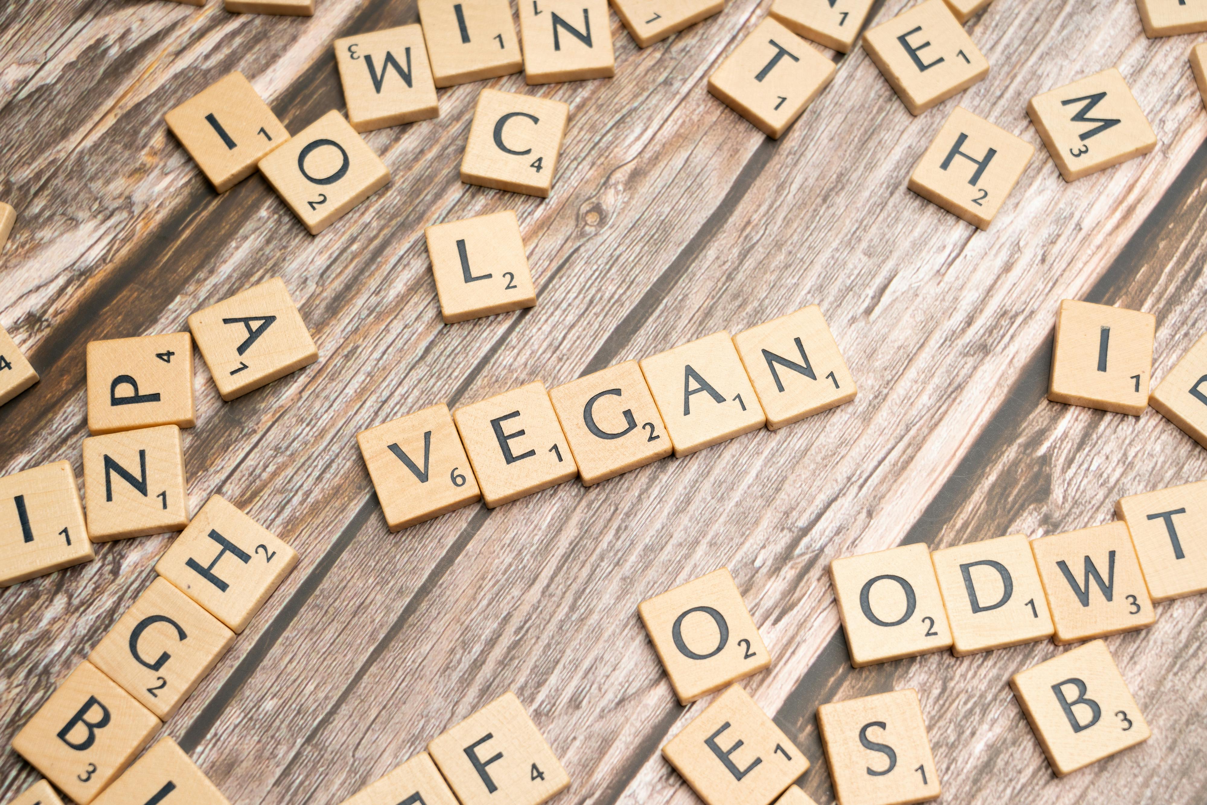 Welfare Photos, Download The BEST Free Welfare Stock Photos & HD Images