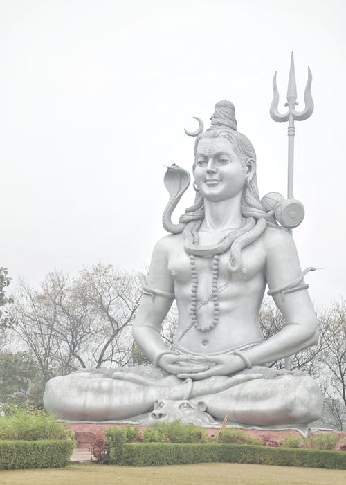 インド, シュリ ラワットプラ サルカール ダム, ヒンズー教の無料の写真素材