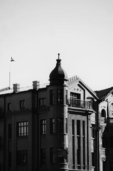 Elegant monochrome image of historic townhouses with a bird flying overhead.