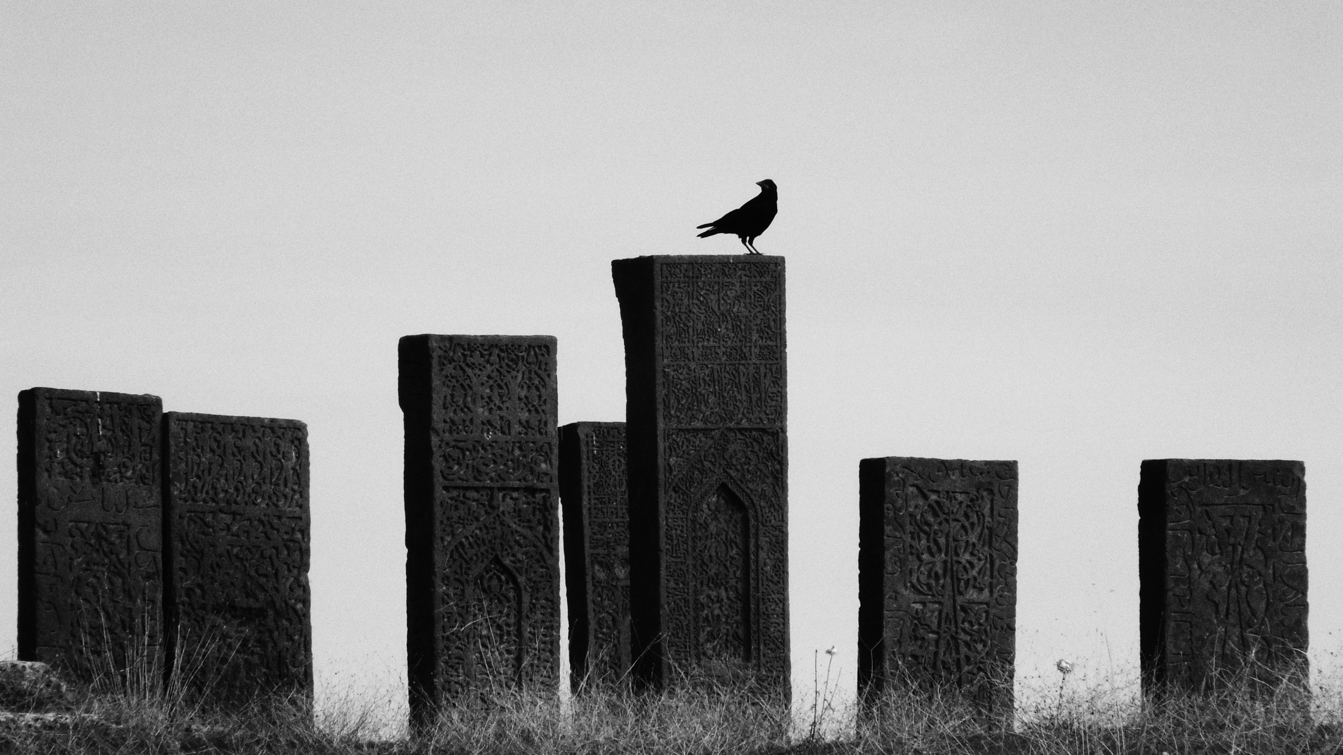 A crow perched on ancient tombstones in a striking black and white silhouette.