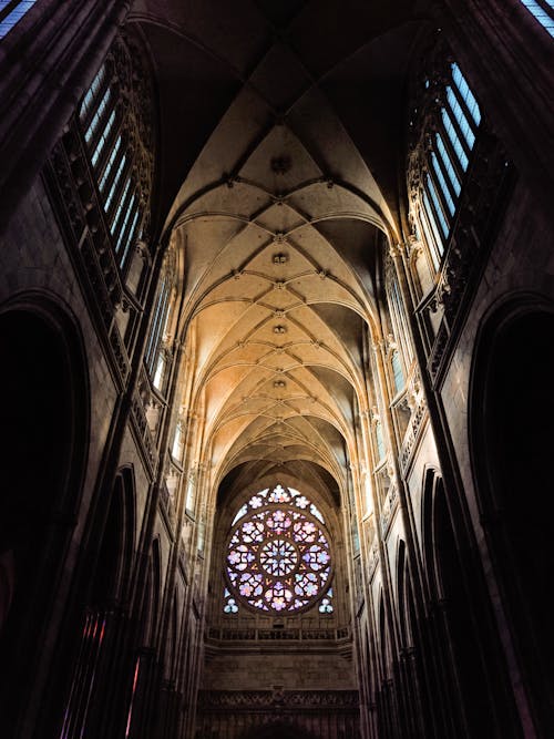 Praha Castle Cathedral 