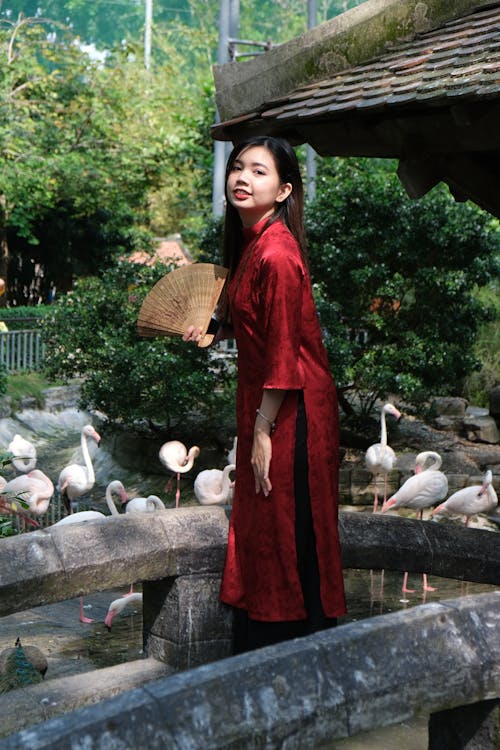 アジアの女性, ハンドファン, ファッション写真の無料の写真素材