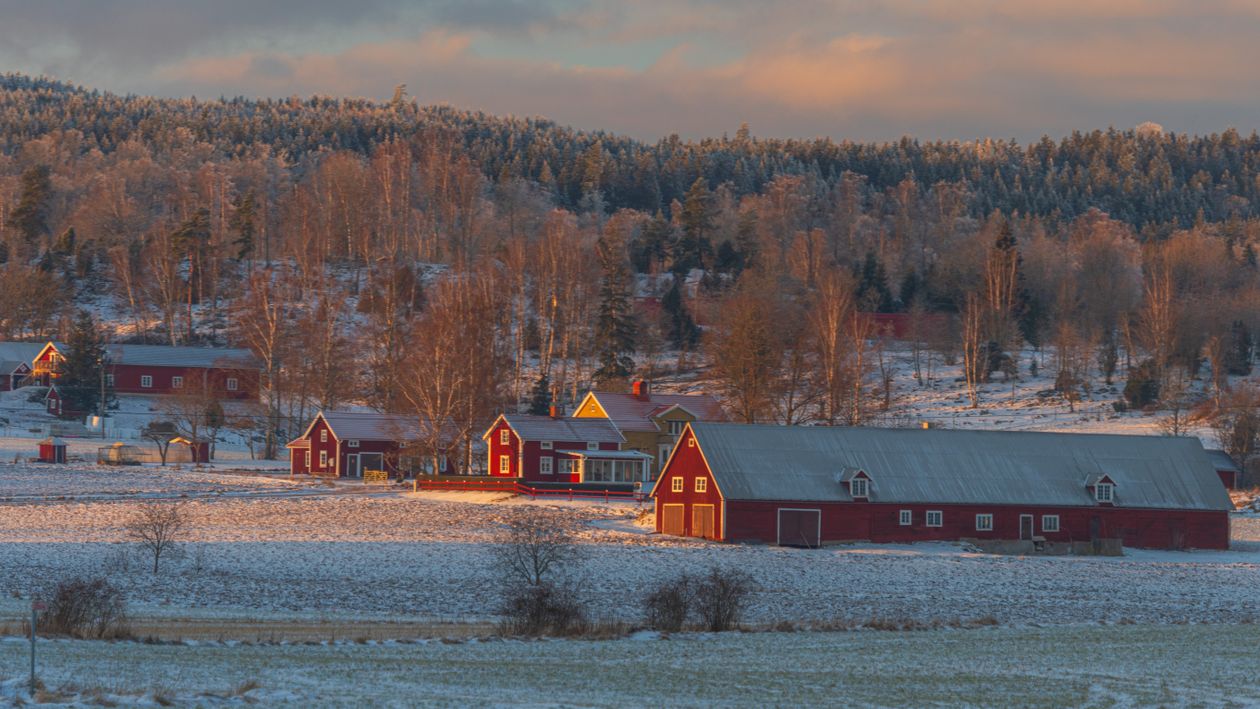Traditional Wooden Red Buildings · Free Stock Photo