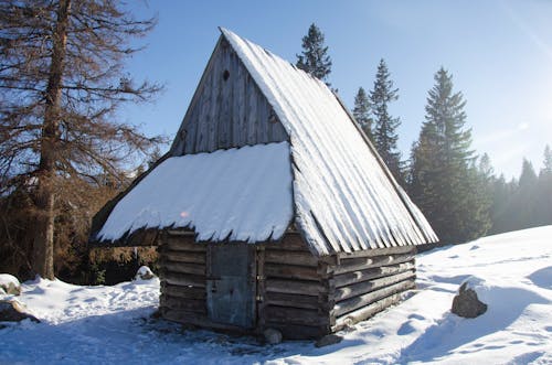 Ilmainen kuvapankkikuva tunnisteilla alppimaja, flunssa, hirsimökki