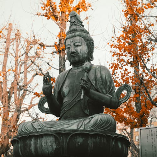 Fotobanka s bezplatnými fotkami na tému Buddha, budhista, duchovno