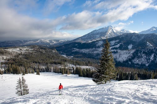 Man Standing on Hill in Snow with Forest behind