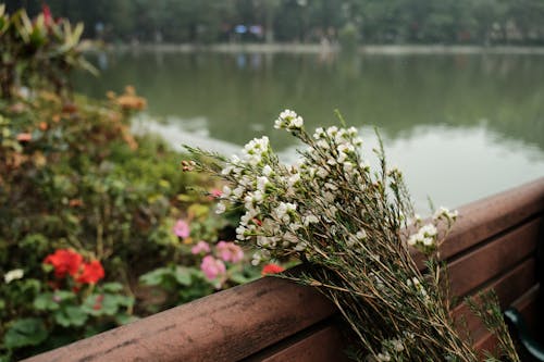 Photos gratuites de eau, ensemble, fleurs