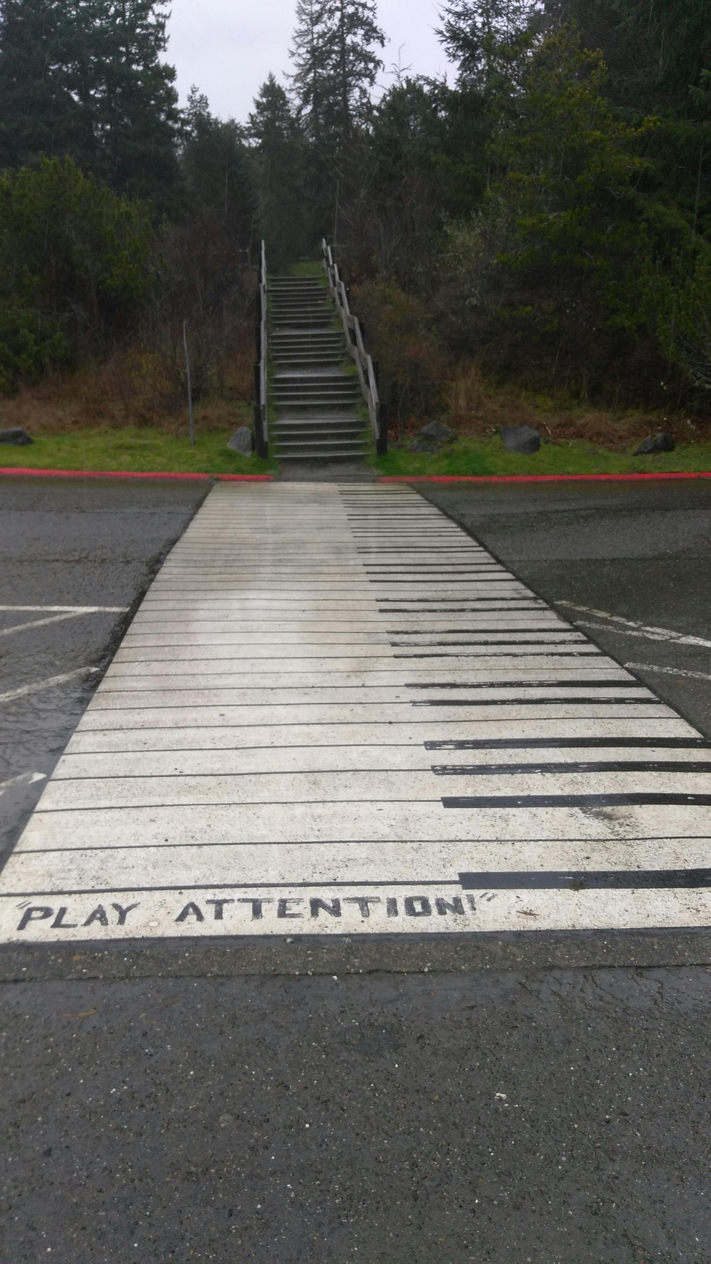 Free stock photo of crosswalk, piano keys, stairs