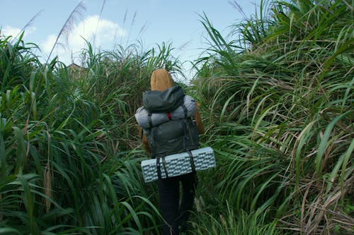 Back View of Person Hiking among Rushes