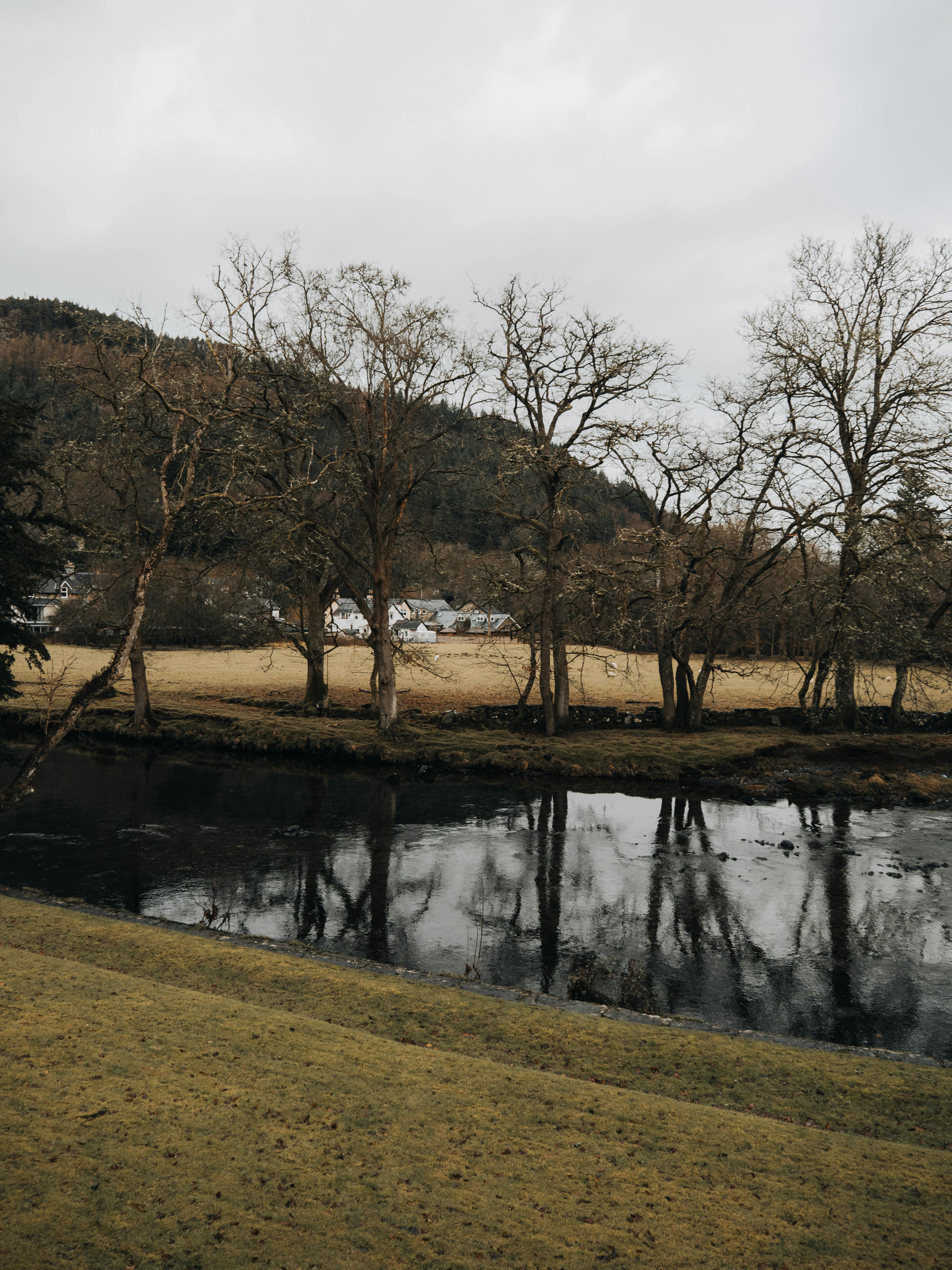 Peaceful winter scene with bare trees reflected in a pond at Betws-y-Coed, Wales.