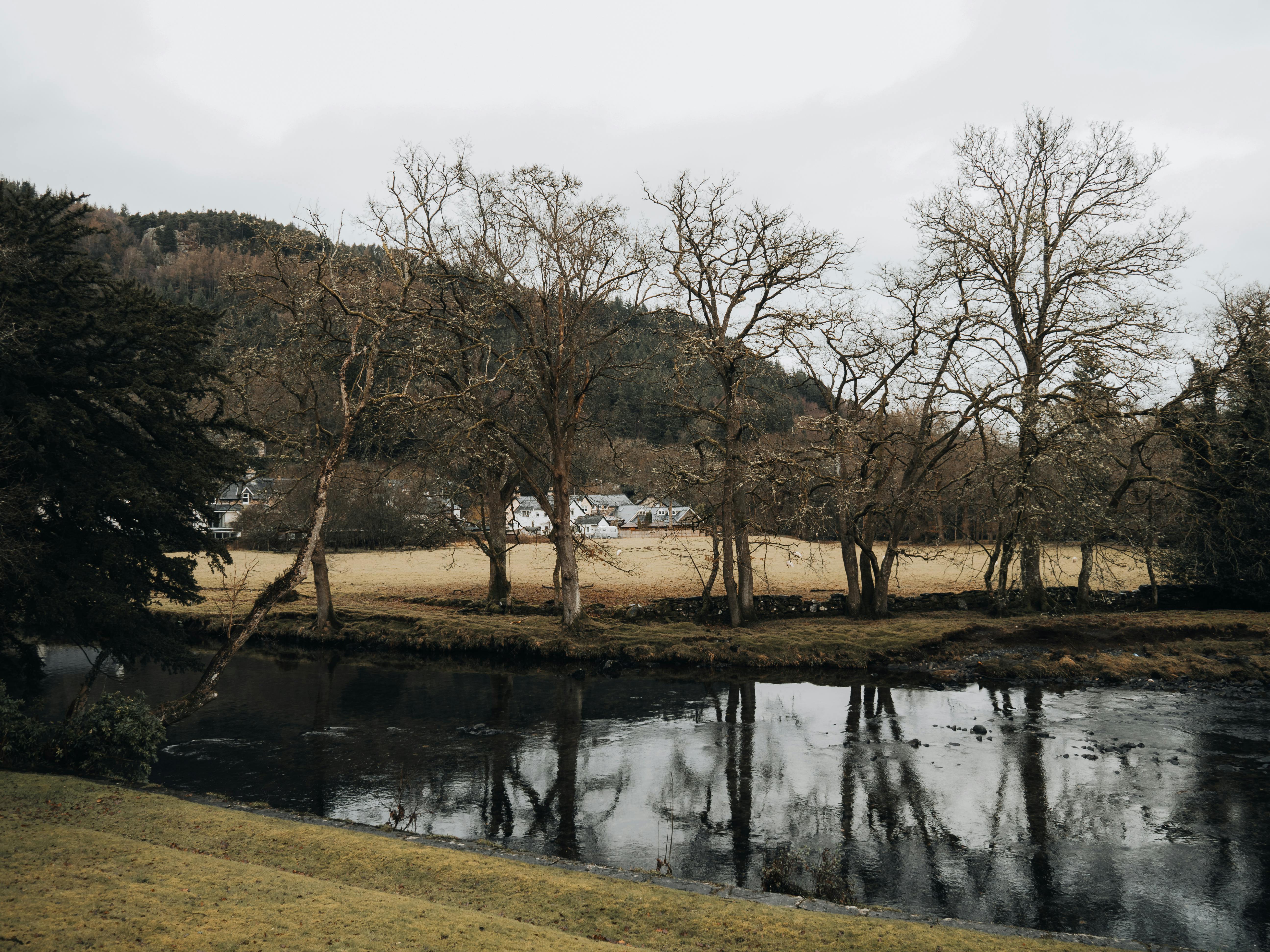 Scenic view of bare trees by a pond reflecting tranquility in Betws-y-Coed, Wales.