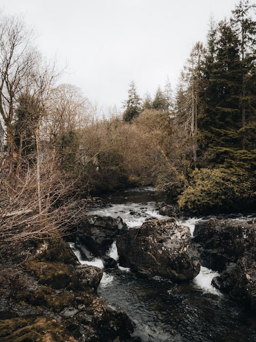 Free Stream on Rocks in Winter Stock Photo