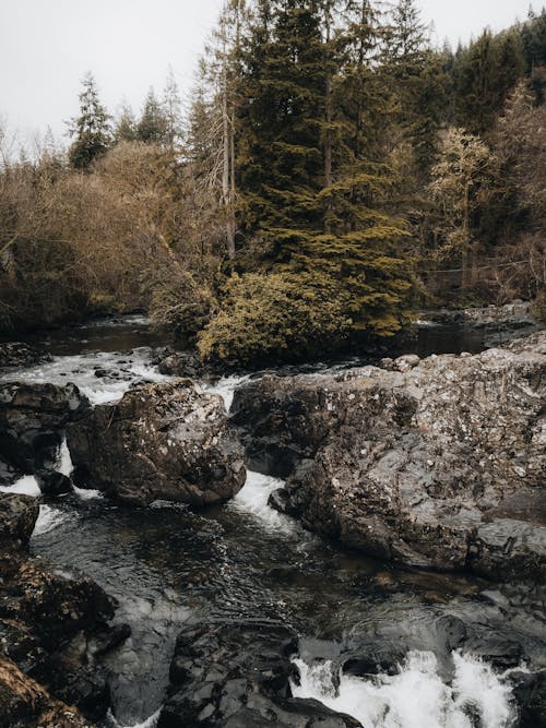 垂直拍摄, 小河, 岩石 的 免费素材图片