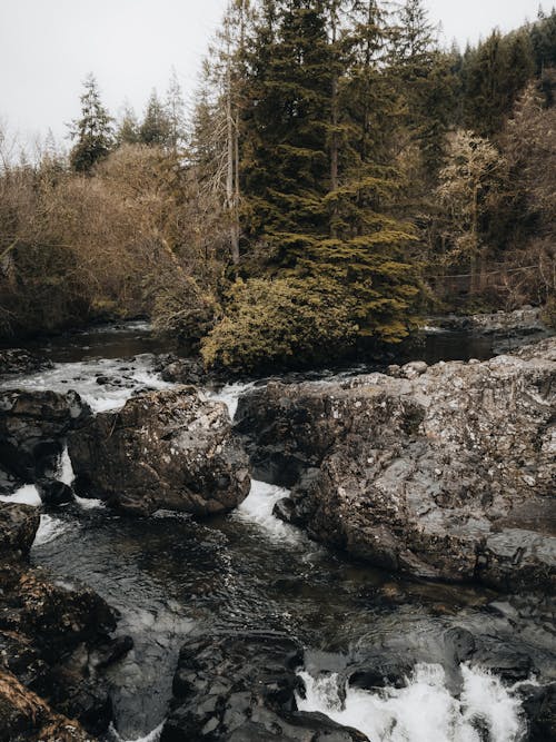 Kostenloses Stock Foto zu bach, felsen, fluss