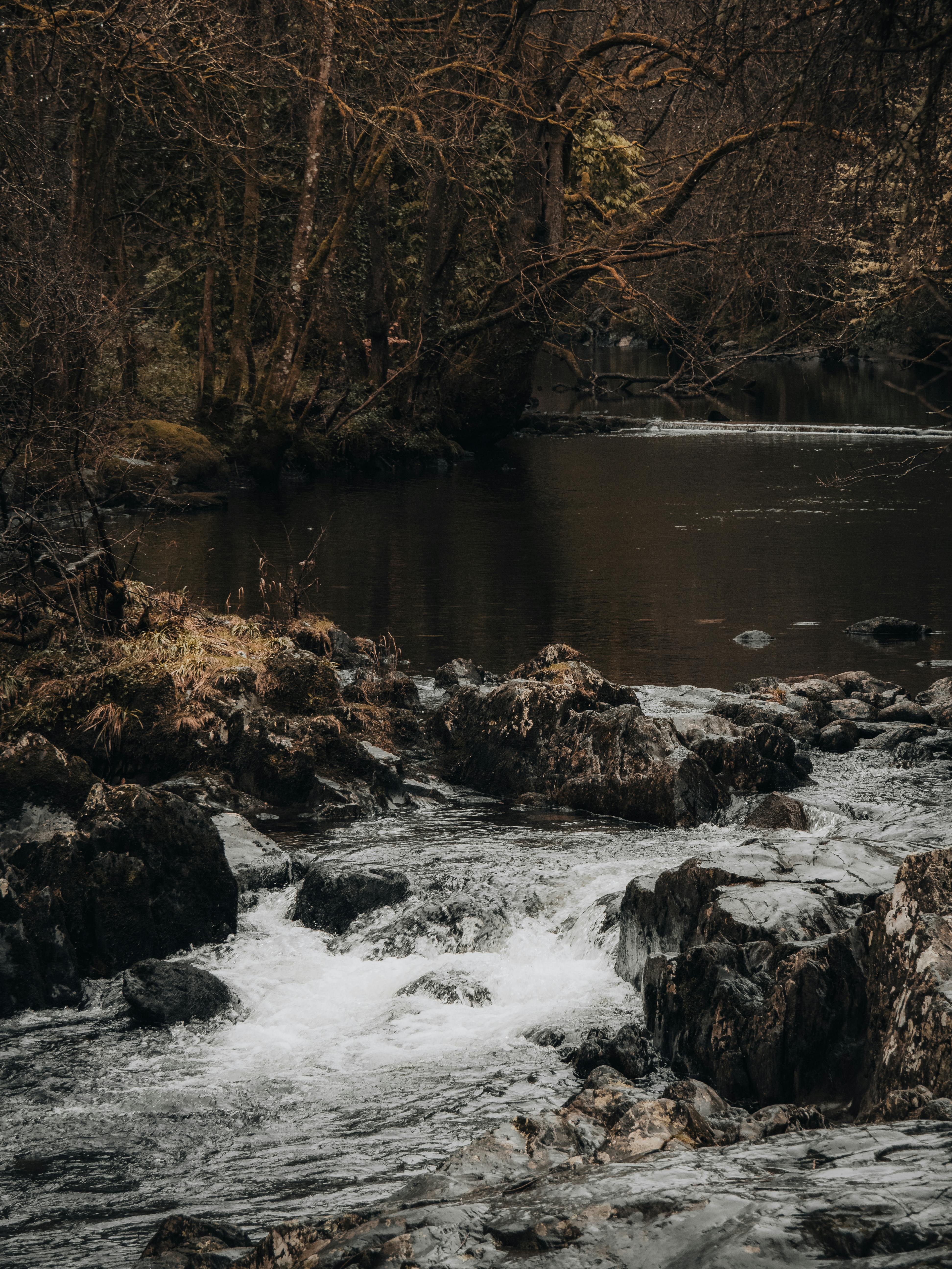 Serene river cascading through rocky forest in autumn at Betws-y-Coed, Wales.