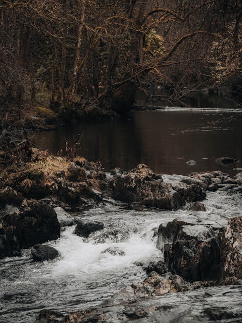 View of a Cascade in a Park in Autumn