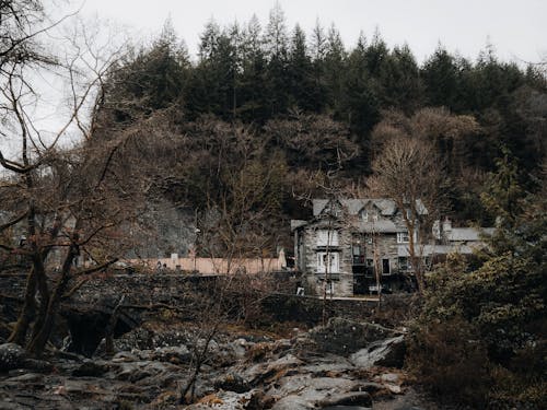 A Bungalow in a Forest