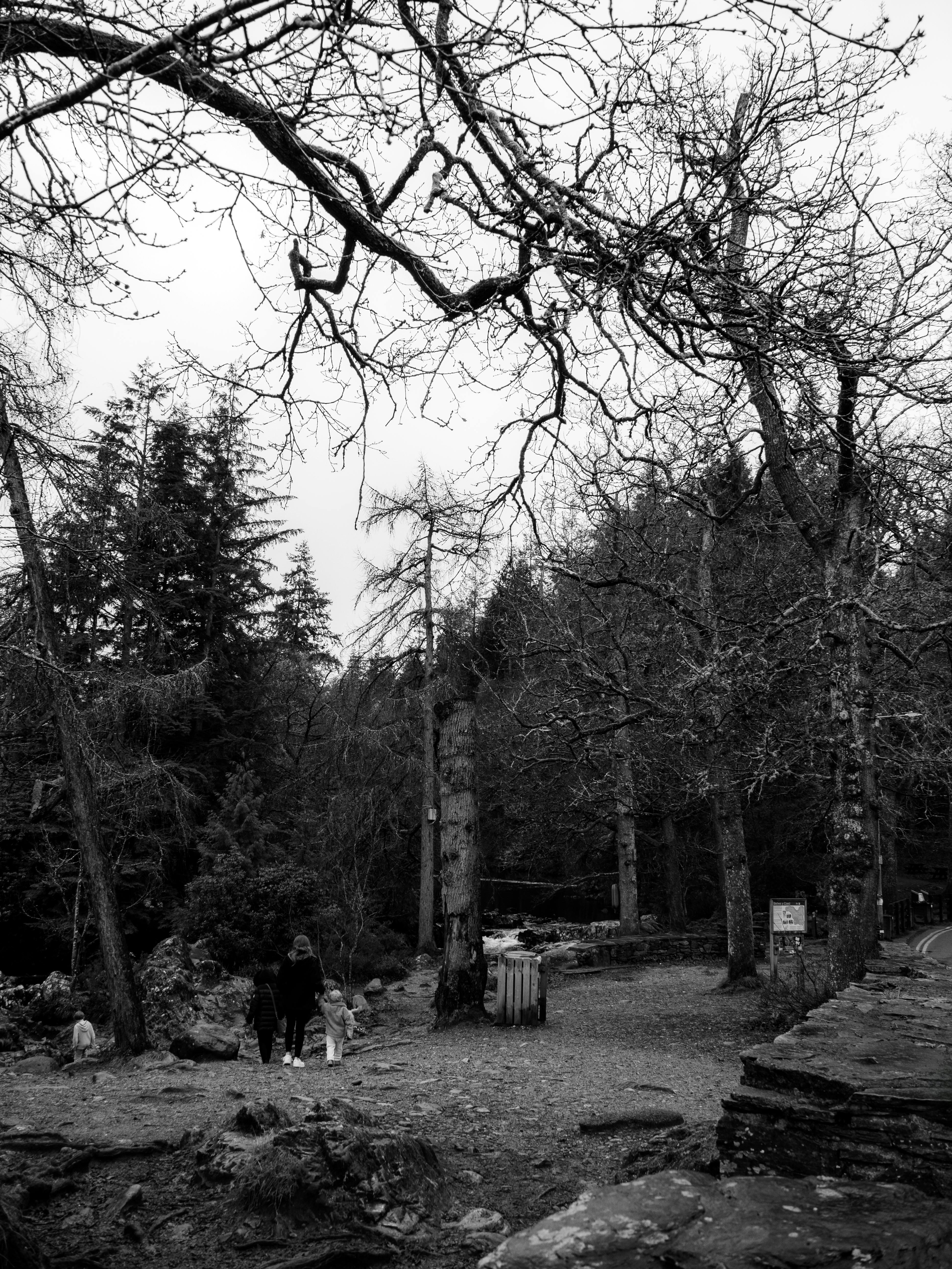 A serene black and white scene of people walking in Betws-y-Coed forest.