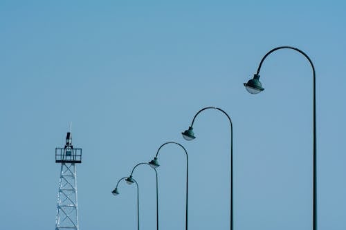 가로등, 고전압 극, 노를 젓다의 무료 스톡 사진