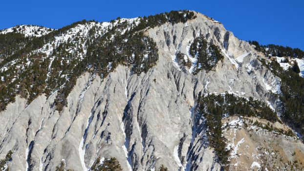 Majestic rocky mountain covered with snow and trees under a clear blue sky.