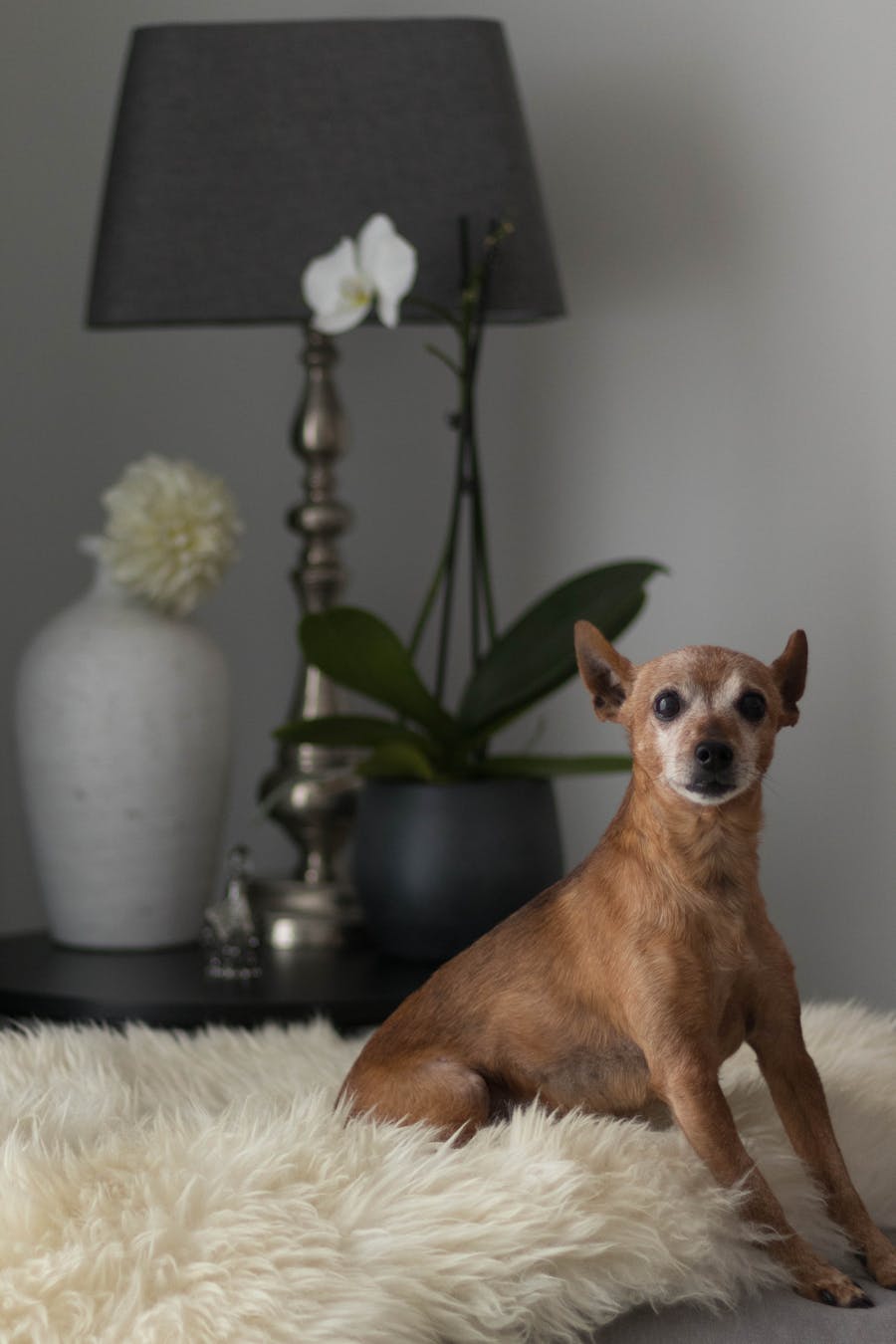 工程师在电脑上使用智能文档比对查看施工图变更