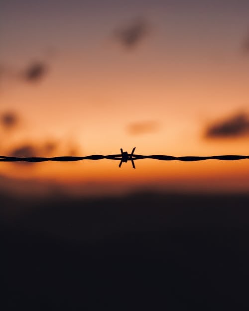 A Wire Against Sunset Sky