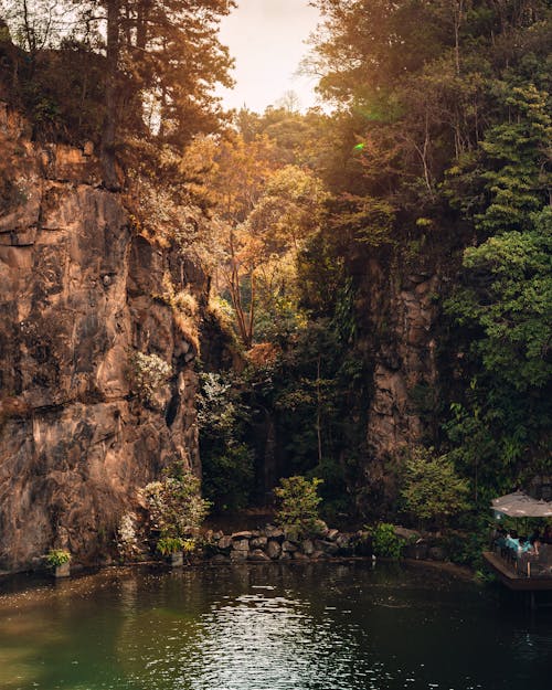 Immagine gratuita di brasile, curitiba