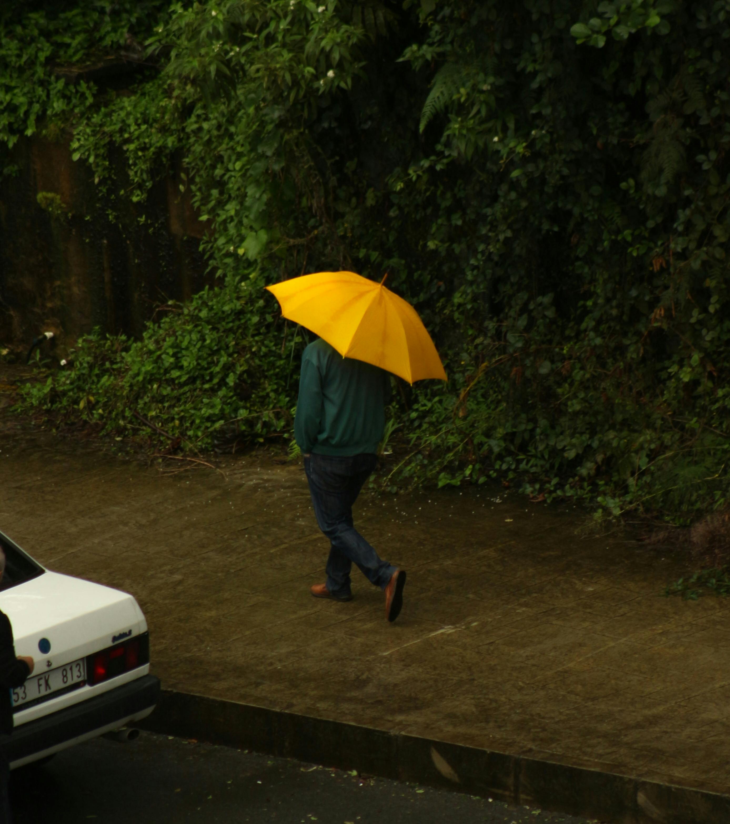 Man walking on sidewalk with yellow umbrella in rainy weather and lush greenery.
