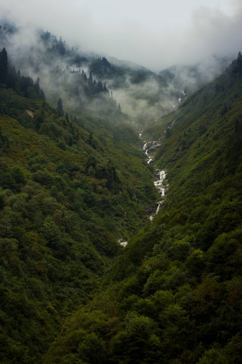 Aerial View of a Valley and Mountains Covered in Dense, Green Forest 