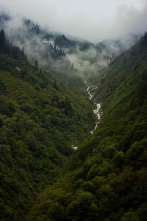 Dramatic misty green valley — Sara mazin on Pexels